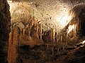 Sowenia - Jaskinia Postojna